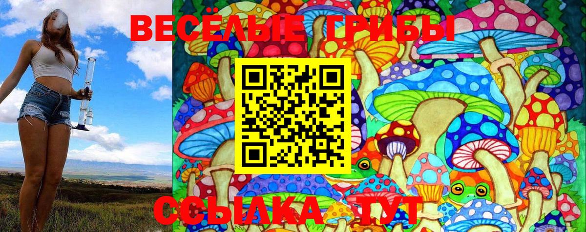 Галлюциногенные грибы GOLDEN TEACHER  Вход с VPN  Галлюциногенные грибы Magic Shrooms  Курск 